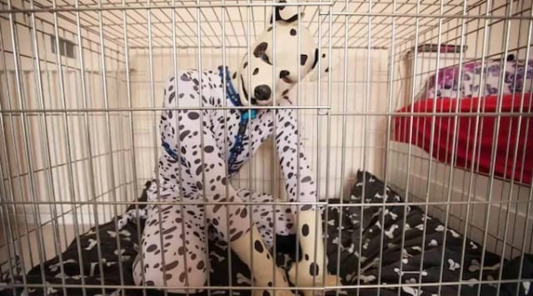 Un homme réalise son rêve et vit comme un chien de compagnie